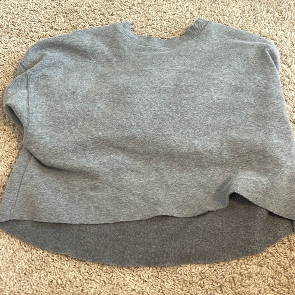 Wild Fable Cropped Hoodie